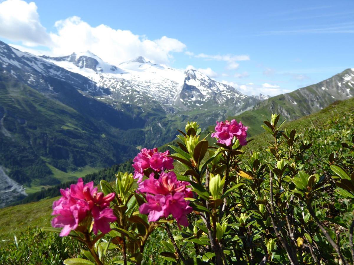 شقة Alpenrose تكس المظهر الخارجي الصورة